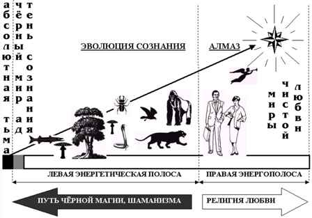 Эволюция сознания. Эволюция сознания человека. Эволюция разума человека. Эволюция сознания рисунки. Эволюционный процесс развития сознания.